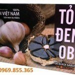 OB Black Garlic