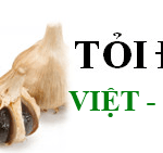 toi-den-viet-nhat