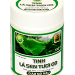 Tinh Lá Sen – TPCN Tinh lá sen tươi OB