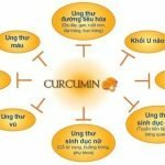 Nano Curcumin – Tinh bột nghệ Nano Curcumin bán ở đâu?